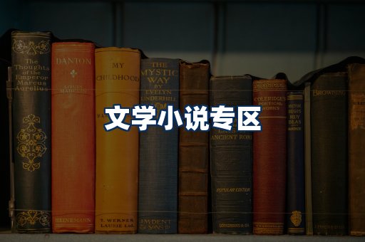 文学小说PDF展示